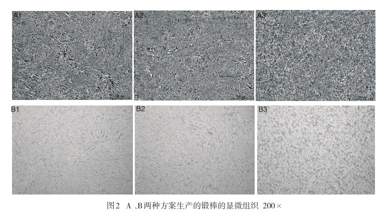 A 、B兩種方案生產(chǎn)的鍛棒的顯微組織